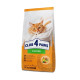 Сухой корм для кошек Club 4 Paws Премиум Adult Cats 7+ с курицей 14 кг (4820269144996)