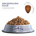 Сухий корм для кішок Club 4 Paws Преміум з лососем 900 г (4820269144729) – Club 4 Paws (вид 1)