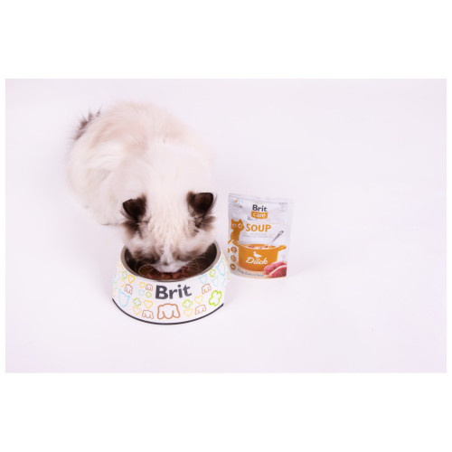 Вологий корм для кішок Brit Care Soup with Duck з качкою 75 г (8595602569182) – Brit Care (вид 2)