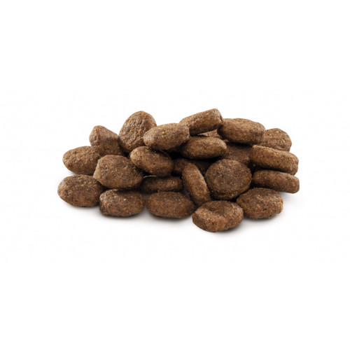 Сухой корм для собак Brit Premium Dog Junior L 15 кг (8595602526437) – Brit Premium (вид 3)