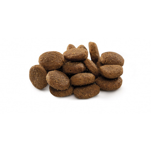 Сухий корм для собак Brit Premium Dog Junior XL 3 кг (8595602526499) – Brit Premium (вид 1)