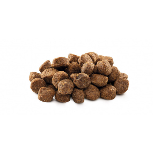 Сухий корм для собак Brit Premium Dog Senior S+M 3 кг (8595602526390) – Brit Premium (вид 4)