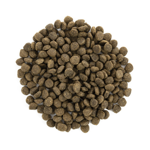 Сухой корм для собак Brit Care GF Mini Adult Lamb 7 кг (8595602520121) – Brit Care (вид 3)