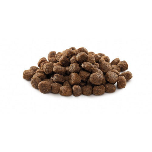 Сухой корм для собак Brit Premium Dog Adult S 8 кг (8595602526307) – Brit Premium (вид 3)