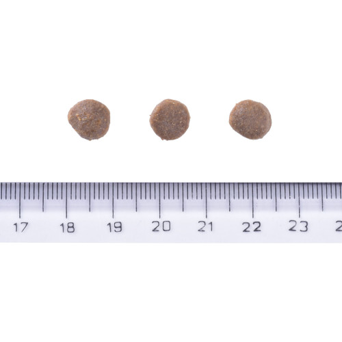 Сухий корм для собак Brit Care Dog Grain-free Puppy з лососем 1 кг (8595602558827) – Brit Care (вид 3)