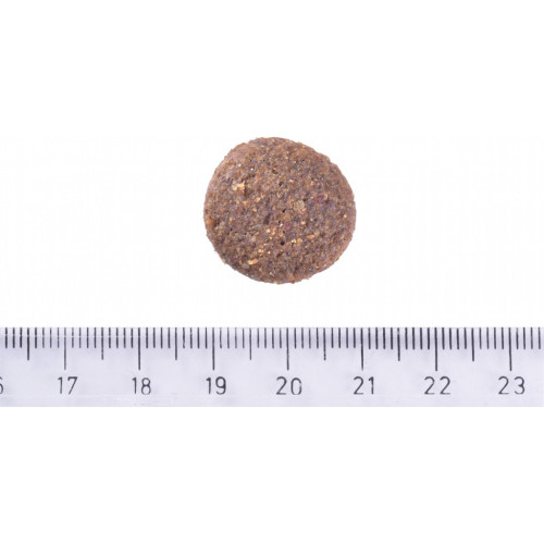 Сухий корм для собак Brit Care Dog Hypoallergenic Adult Large Breed з ягням 1 кг (8595602559091) – Brit Care (вид 3)