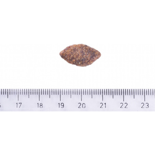 Сухий корм для собак Brit Care Dog Grain-free Sensitive беззерновий з олениною 3 кг (8595602559145) – Brit Care (вид 3)