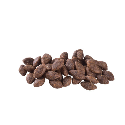 Сухой корм для собак Brit Care Dog Sustainable Activity с курицей и насекомыми 3 кг (8595602559237) – Brit Care (вид 1)