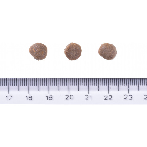 Сухий корм для собак Brit Care Dog Grain-free Puppy з лососем 12 кг (8595602558803) – Brit Care (вид 3)