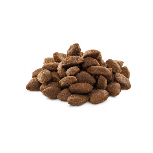 Сухий корм для собак Brit Premium Dog Sport 3 кг (8595602526666) – Brit Premium (вид 1)