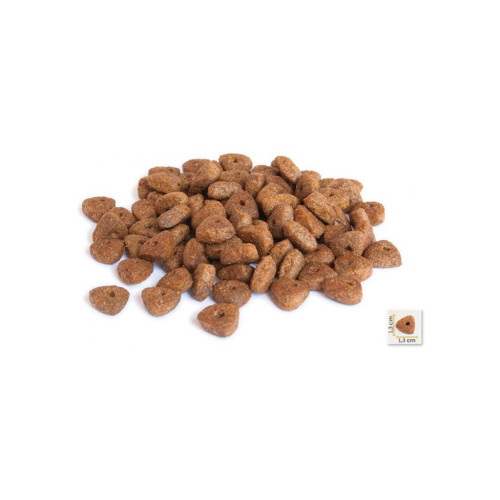 Сухий корм для собак BonaCibo Adult Dog Lamb&Rice 4 кг (BC406168) – BonaCibo (вид 1)