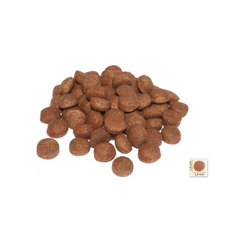 Сухий корм для собак BonaCibo Adult Dog High Energy Chicken&Rice with Anchovy 15 кг (BC405802) – BonaCibo (вид 1)