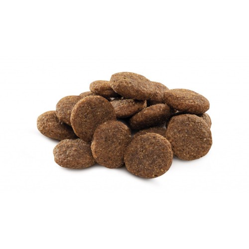 Сухий корм для собак Brit Premium Dog Adult L 8 кг (8595602526451) – Brit Premium (вид 2)