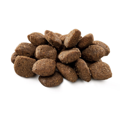 Сухий корм для собак Brit Premium Dog Sensitive Lamb 15 кг (8595602526642) – Brit Premium (вид 1)