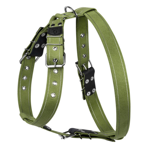 Шлей для собак Collar для больших собак N2 68-91 см зеленая (0646) – Collar