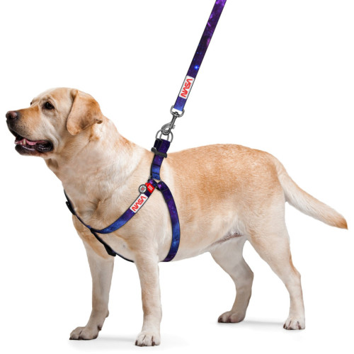 Шлей для собак WAUDOG Nylon с QR-паспортом "NASA21" S (4800-0148) – WAUDOG (вид 1)