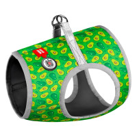 Шлей для собак WAUDOG Clothes с QR паспортом "Авокадо" XS3 (2950)