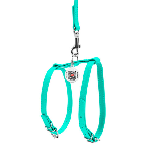 Шлей для собак WAUDOG Glamour с поводком кожаная Ш 12 мм А 25-33 см В 35-43 см ментолова (340013) – WAUDOG (вид 1)