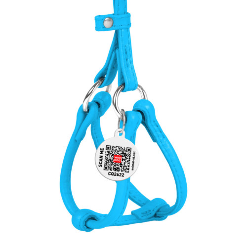 Шлея для собак WAUDOG Glamour з повідцем кругла Д 6 мм А 26-46 см В 30-50 см блакитна (34012) – WAUDOG (вид 1)