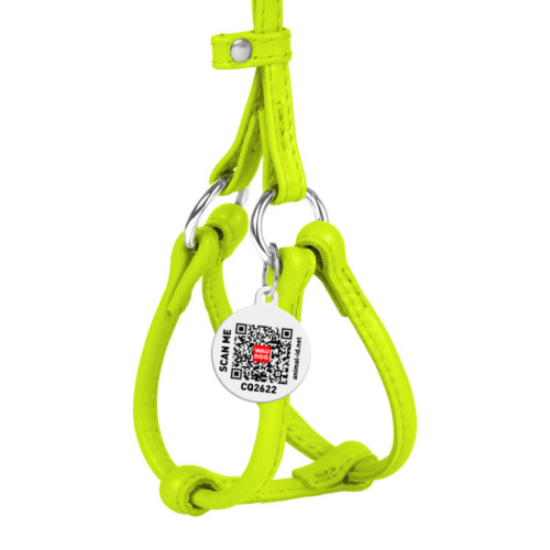 Шлей для собак WAUDOG Glamour с поводком круглая Д 6 мм А 26-46 см В 30-50 см салатовая (34015) – WAUDOG (вид 1)