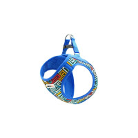 Шлея для собак MISOKO&CO blue-multicolor M (DCAMIS306M-M)