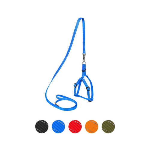 Шлея для собак Dog Extreme з нейлону регульована з повідцем Ш 15 мм В:40-55 см блакитна (07032) – Dog Extreme