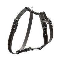Шлей для собак Collar одинарная для малых и средних пород Ш 20 мм А:40-56 см В:57-65 см черная (06361)