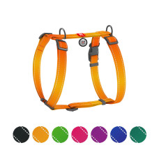 Шлей для собак WAUDOG Nylon Mono с QR-паспортом, пластиковый фастекс L оранжевая (52744)
