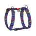 Шлей для собак WAUDOG Nylon анатомическая H-образная с QR-паспортом "Инди" пластиковый фастекс XL (323-0016) – WAUDOG
