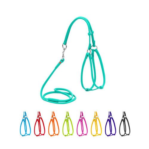 Шлей для собак WAUDOG Glamour круглая, с поводком XXS ментолова (340113) – WAUDOG