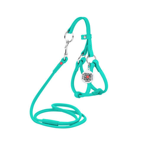 Шлей для собак WAUDOG Glamour круглая, с поводком XXS ментолова (340113) – WAUDOG (вид 1)