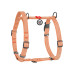 Шлей для собак WAUDOG Н-образная Re-cotton с QR паспортом, светоотражающая S оранжевая (25914) – WAUDOG (вид 1)
