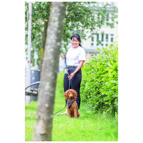 Шлей для собак Trixie CityStyle H-harness Хлопок XS–S 30–44 см 10 мм Черная (4053032682580) – Trixie (вид 1)