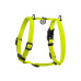 Шлей для собак WAUDOG Magnet анатомическая Н-образная с QR-паспортом, магнитная пряжка-фастекс S лимонная (262226) – WAUDOG