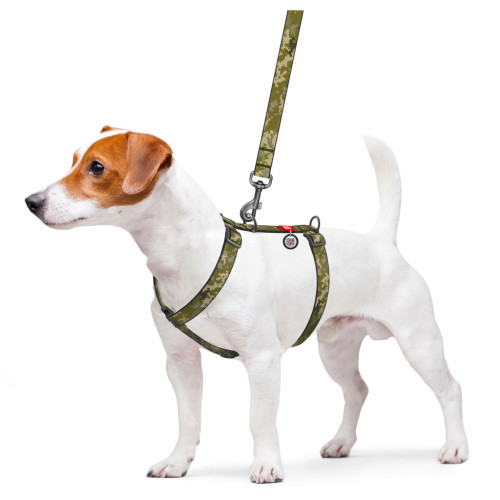 Шлей для собак WAUDOG Nylon с QR паспортом анатомическая H-образная "Милитари" S (320-4026) – WAUDOG (вид 2)