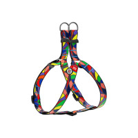 Шлей для собак WAUDOG Nylon с QR паспортом анатомически "Витраж" S (4605)