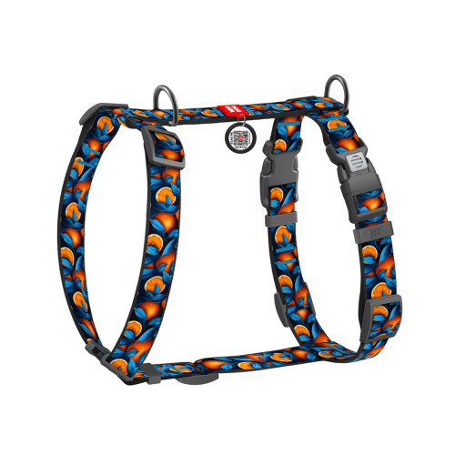 Шлей для собак WAUDOG Nylon анатомическая H-образная с QR-паспортом "Апельсины" пластиковый фастекс, L (345-4054) – WAUDOG
