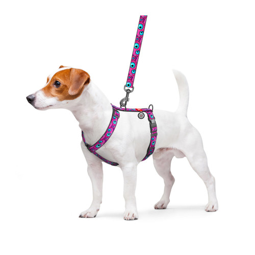 Шлей для собак WAUDOG Nylon анатомічна H-подібна з QR-паспортом "Око монстра" пластиковий фастекс, L (345-4049) – WAUDOG (вид 2)