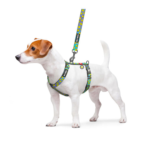 Шлей для собак WAUDOG Nylon анатомическая H-образная с QR-паспортом "Смайлики на голубом" пластиковый фастекс, L (345-0182) – WAUDOG (вид 2)