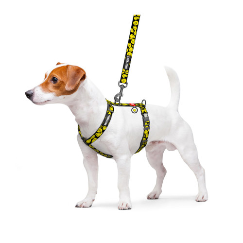 Шлей для собак WAUDOG Nylon анатомічна H-подібна з QR-паспортом "Смайли на чорному" пластиковий фастекс, L (345-0181) – WAUDOG (вид 2)