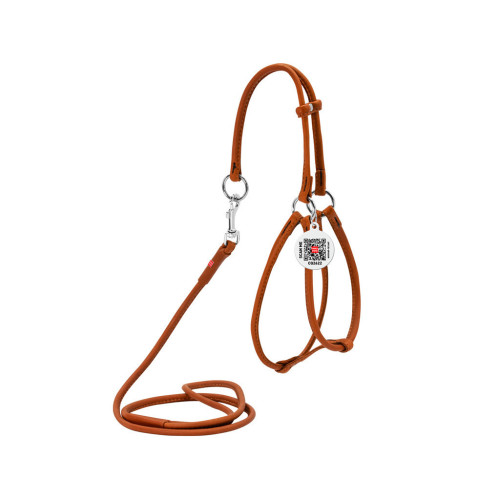 Шлея для собак WAUDOG Soft з QR паспортом кругла Д 6 мм А 26-46 см В 30-50 см коричнева (46236) – WAUDOG