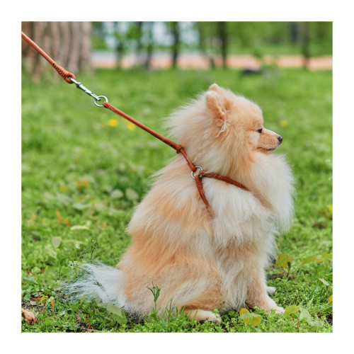 Шлея для собак WAUDOG Soft з QR паспортом кругла Д 6 мм А 26-46 см В 30-50 см коричнева (46236) – WAUDOG (вид 1)