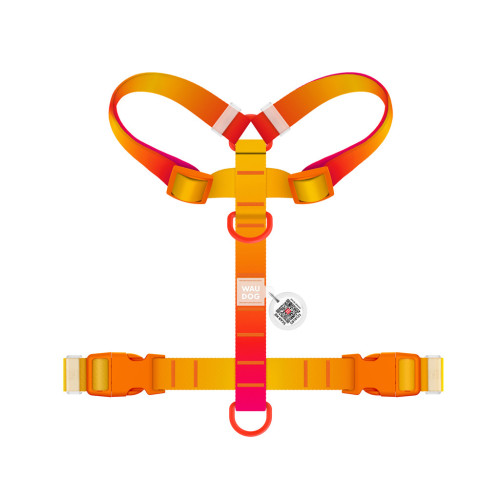 Шлей для собак WAUDOG Nylon Recycled анатомическая H-образная с QR-паспортом, пластиковый фастекс, L оранжевая (47534) – WAUDOG (вид 1)
