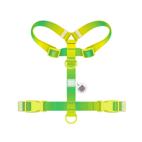 Шлей для собак WAUDOG Nylon Recycled анатомическая H-образная с QR-паспортом, пластиковый фастекс, L салатовая (47535) – WAUDOG (вид 1)