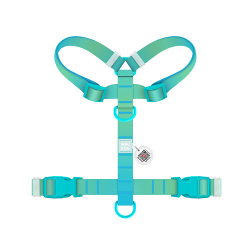 Шлей для собак WAUDOG Nylon Recycled анатомическая H-образная с QR-паспортом, пластиковый фастекс, XL голубая (47542) – WAUDOG (вид 1)