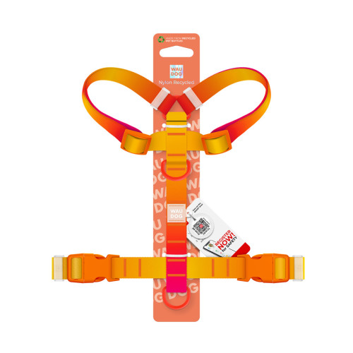 Шлей для собак WAUDOG Nylon Recycled анатомическая H-образная с QR-паспортом, пластиковый фастекс, XL оранжевая (47544) – WAUDOG (вид 2)