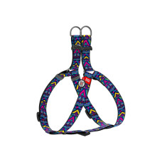 Шлей для собак WAUDOG Nylon с QR паспортом анатомическая "Инди" S (4963)