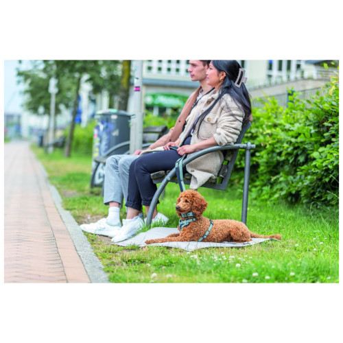 Шлея для собак Trixie CityStyle H-harness Бавовна M–L 52–75 см 20 мм Світло-зелена (4053032682641) – Trixie (вид 1)