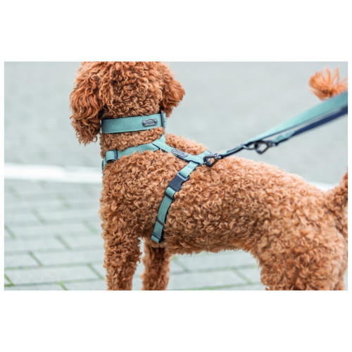 Шлея для собак Trixie CityStyle H-harness Бавовна S–M 42–60 см 15 мм Світло-зелена (4053032682610) – Trixie (вид 2)