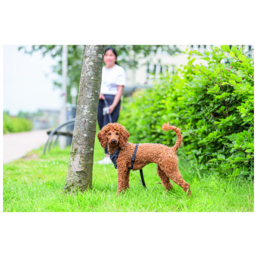 Шлея для собак Trixie CityStyle H-harness Бавовна S–M 42–60 см 15 мм Чорна (4053032683273) – Trixie (вид 2)